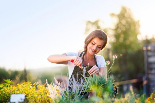 Professional house cleaners efficiently cleaning a living room