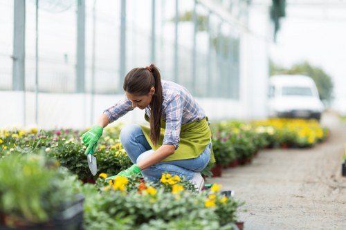 Eco-friendly cleaning products used by professionals