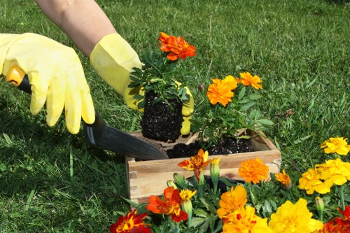 Eco-friendly cleaning products used for oven cleaning